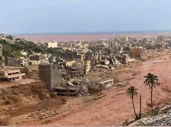 متحدث باسم الجالية السورية يؤك...