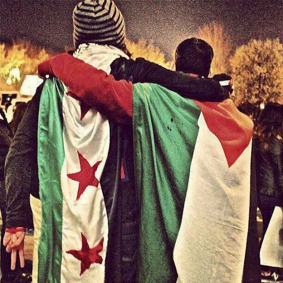 إحصائية بعدد القتلى الفلسطينيي...
