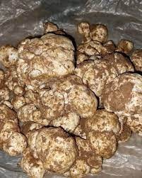 لماذا منع الأهالي  في البوكمال...