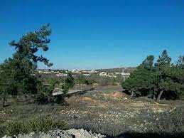  استنفار شعبي في بلدة “سبخة ال...