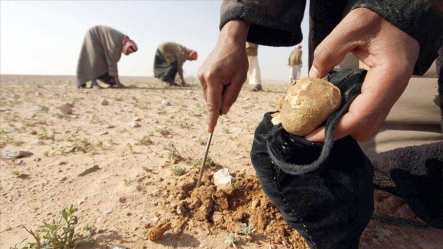 أثناء بحثهم عن الكمأة.. وفاة 6...