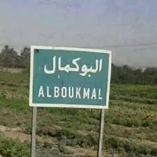إنشاء كتيبة استطلاع جوي في الب...
