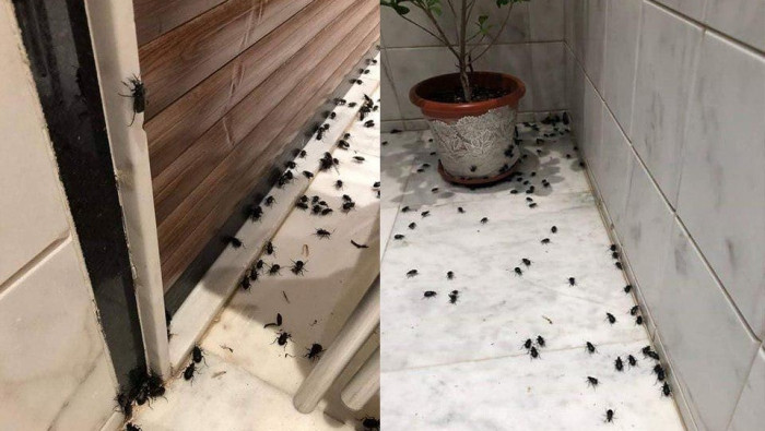 النظام يتحدث عن خطة إسعافية لم...