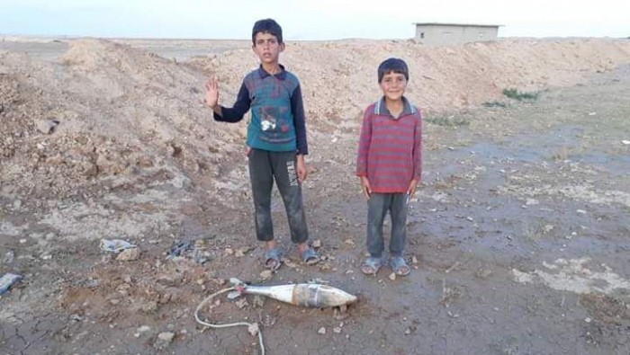 2953443645-crop.jpg