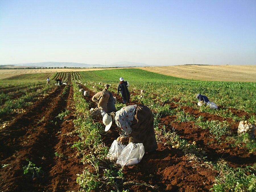 شهيدان وجرحى بقصف صاروخي للنظا...