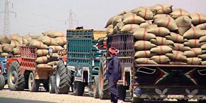 فلاحون من الحسكة ودير الزور يض...