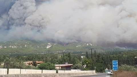 موالون للنظام يتهمونه بالتقصير...