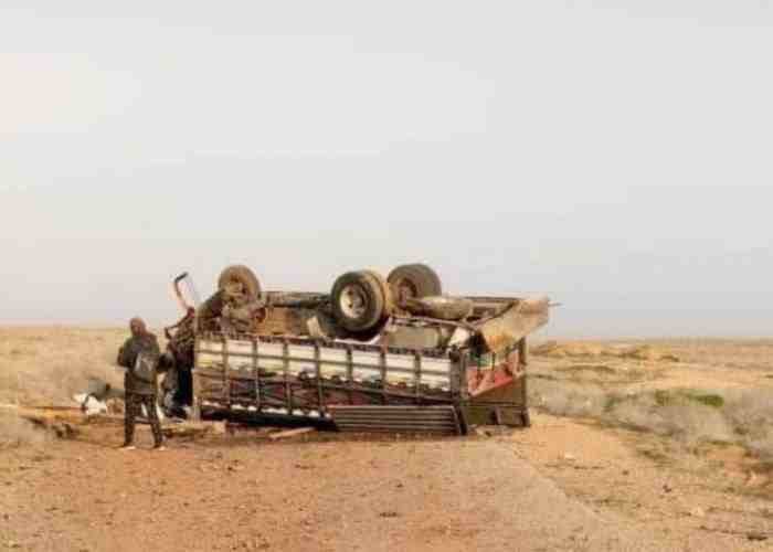 هجوم جديد على جامعي الكمأة في...