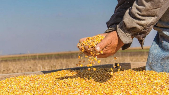 إخفاق رسمي في استثمار وتصنيع ا...