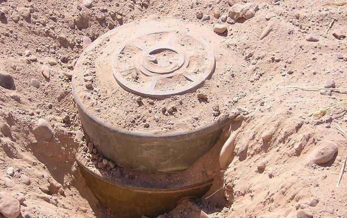 مصرع 4 عناصر من قوات النظام با...