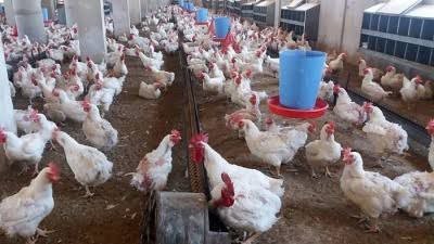 تقارير : إهمال حكومة النظام يؤ...