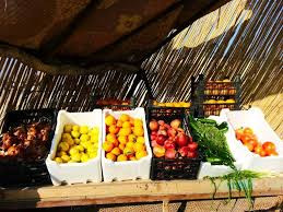 تهريب الخضار والمواد الغذائية...