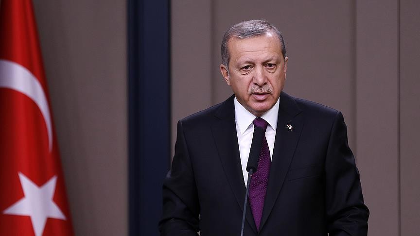 أردوغان يدعو لمنطقة حظر طيران...